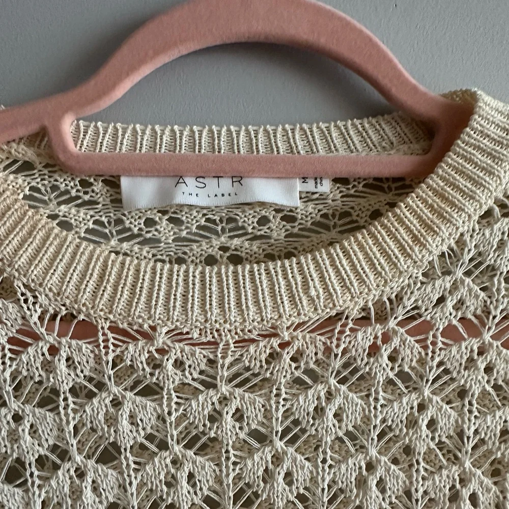 crochet ASTR the label long sleeve crop top